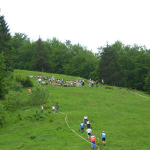 Img0083