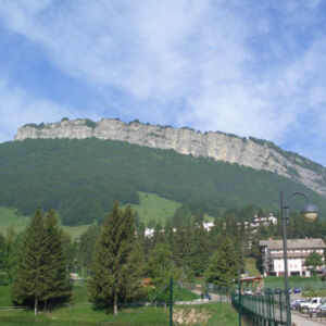 davide (3)